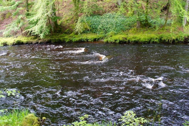 DSC05790