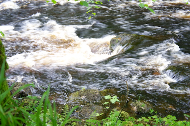 DSC05797