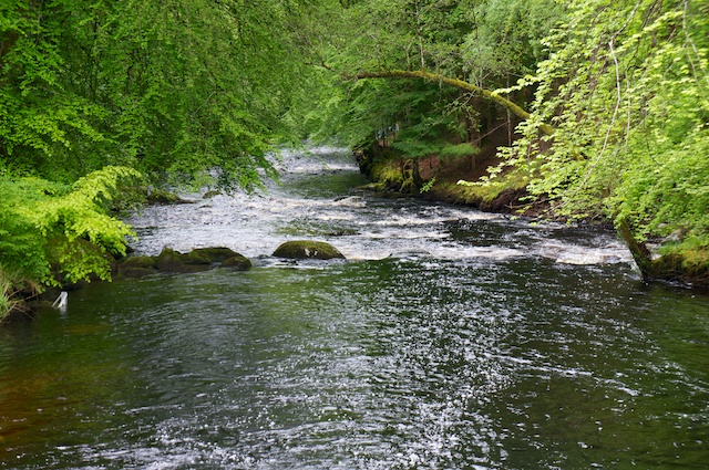 DSC05806