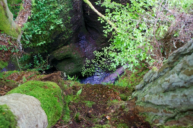 DSC05825