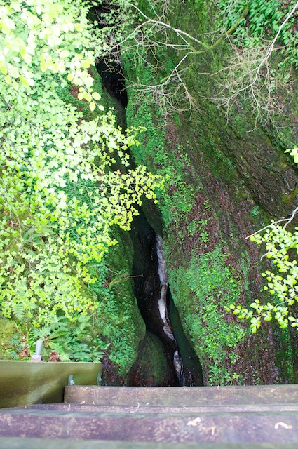 DSC05836