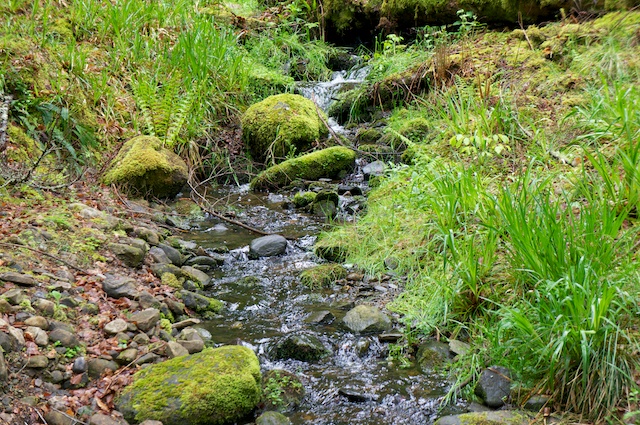 DSC05853
