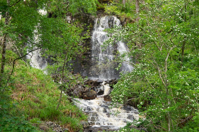 DSC05875