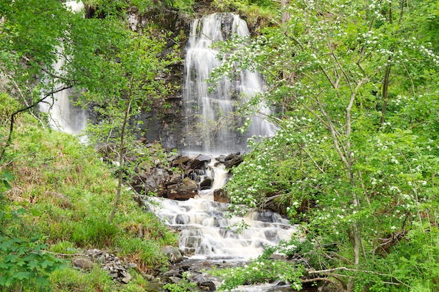 DSC05876