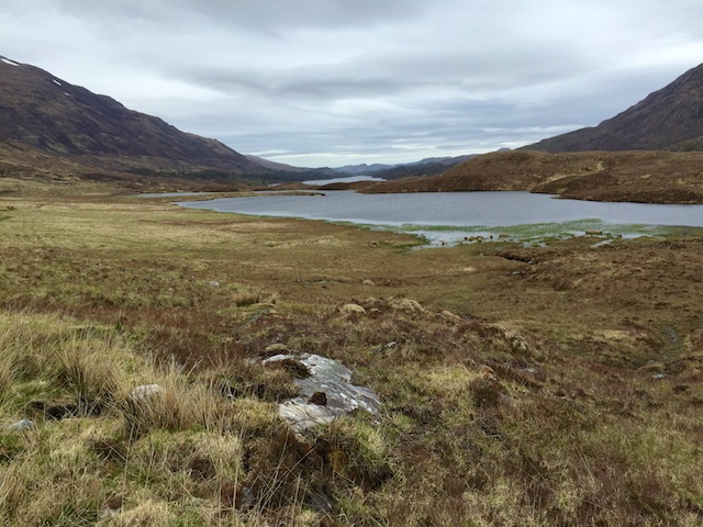 Schottland3 14