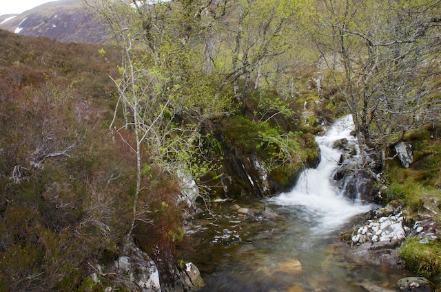 Schottland3 18