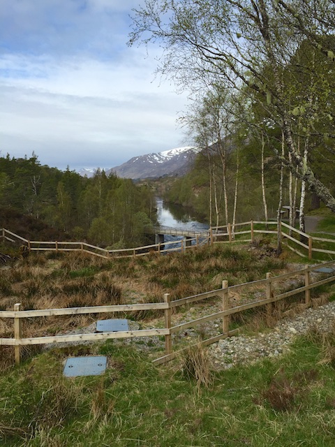 Schottland3 2