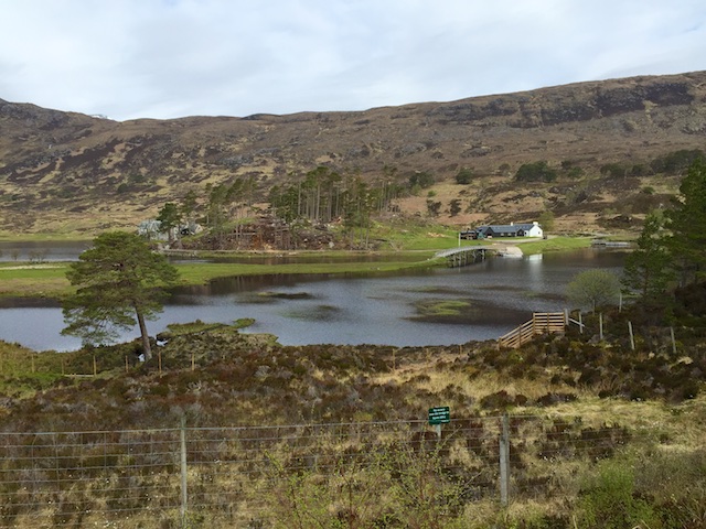 Schottland3 5