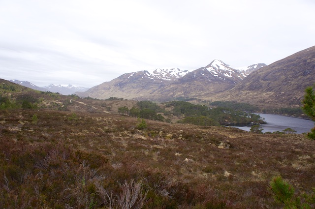 Schottland3 6