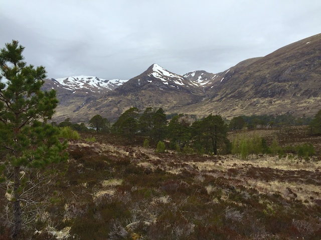 Schottland3 7