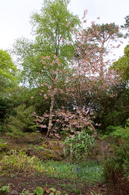 DSC03003