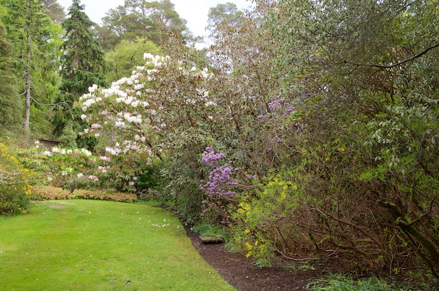 DSC03005