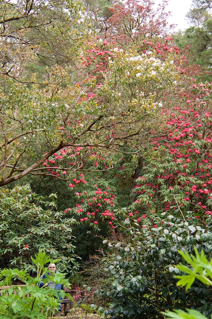DSC03010