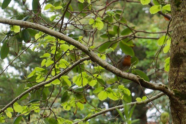 DSC03030