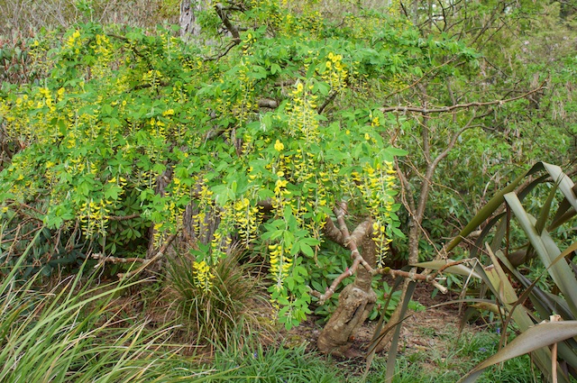 DSC03039