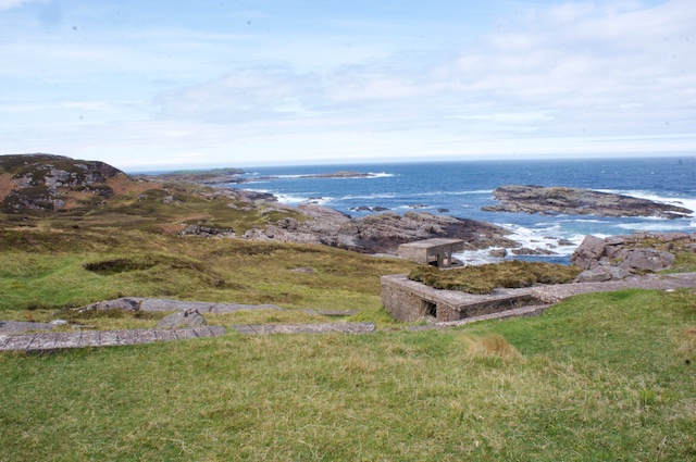 DSC03045