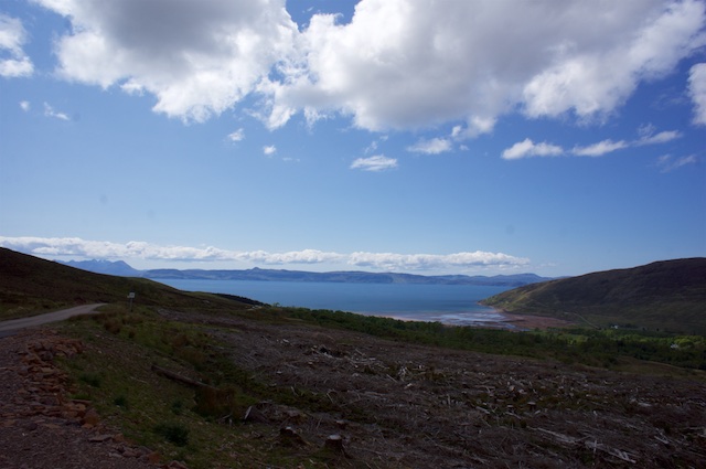 DSC03302